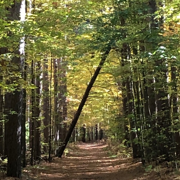 Outfit - Picture 2 of 5